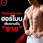 กังวลเรื่อง Testosterone ต่ำ? สมรรถภาพทางเพศลดลง? ปรึกษาแพทย์เฉพาะทางที่ Lover Clinic โคราช ดูแลโดยแพทย์ผู้เชี่ยวชาญ มั่นใจ ปลอดภัย